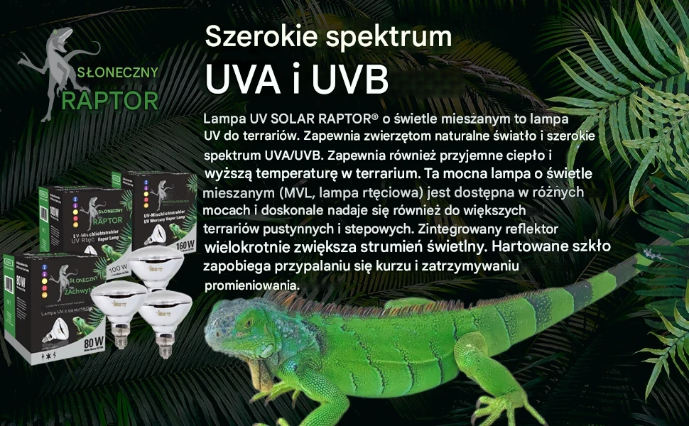Żarówka rtęciowa MVL UVB Solar Raptor Żarówka rtęciowa MVL UVB Solar Raptor - obrazek 3