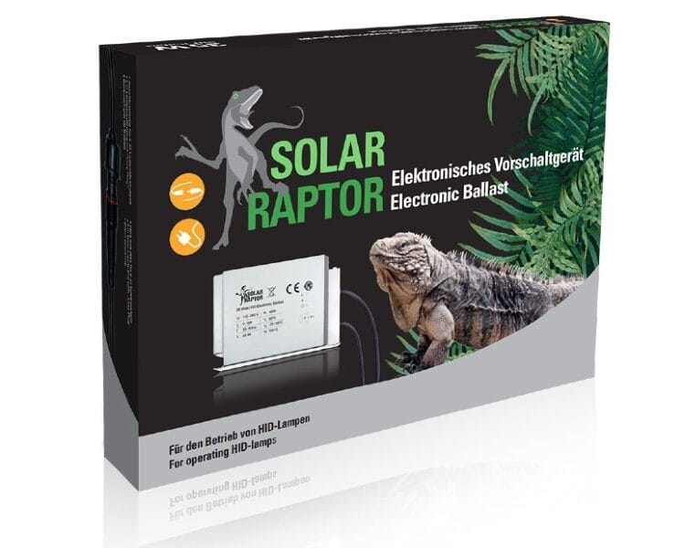 statecznik solar raptor