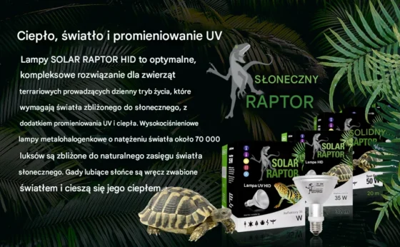 dlaczego najlepszy