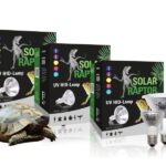 solar raptor 35w flood