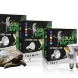 solar raptor 35w flood