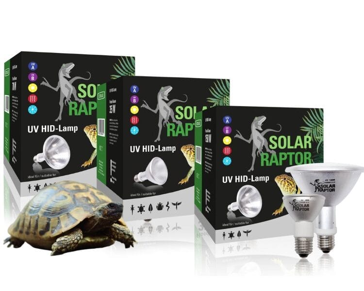 solar raptor 35w flood
