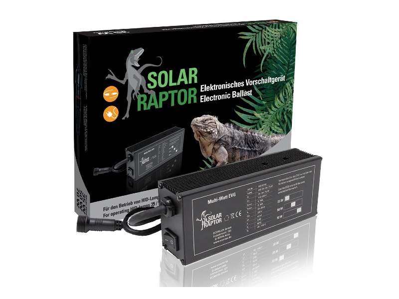 statecznik solar raptor