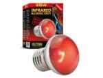 Nano ExoTerra Infrared Basking