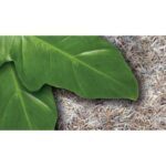 Podłoże Snake Bedding 8,8l - obrazek 2