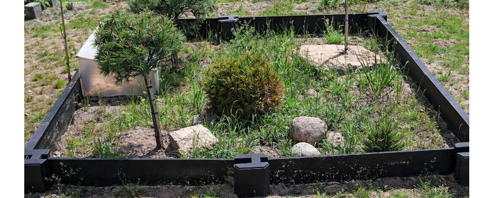 wybieg dla żółwia