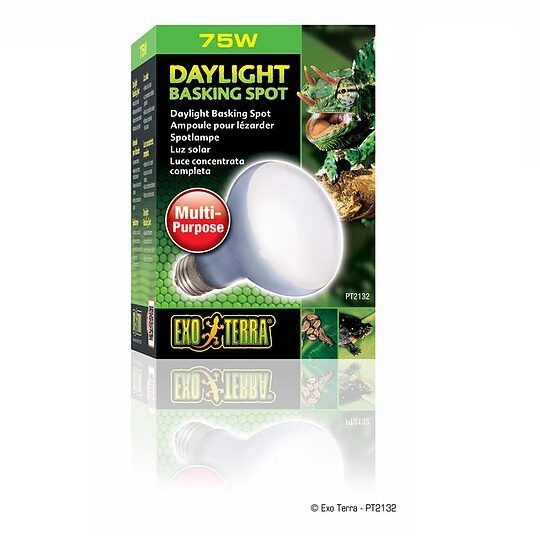 Żarówka Daylight Basking Spot R20/75W Exoterra