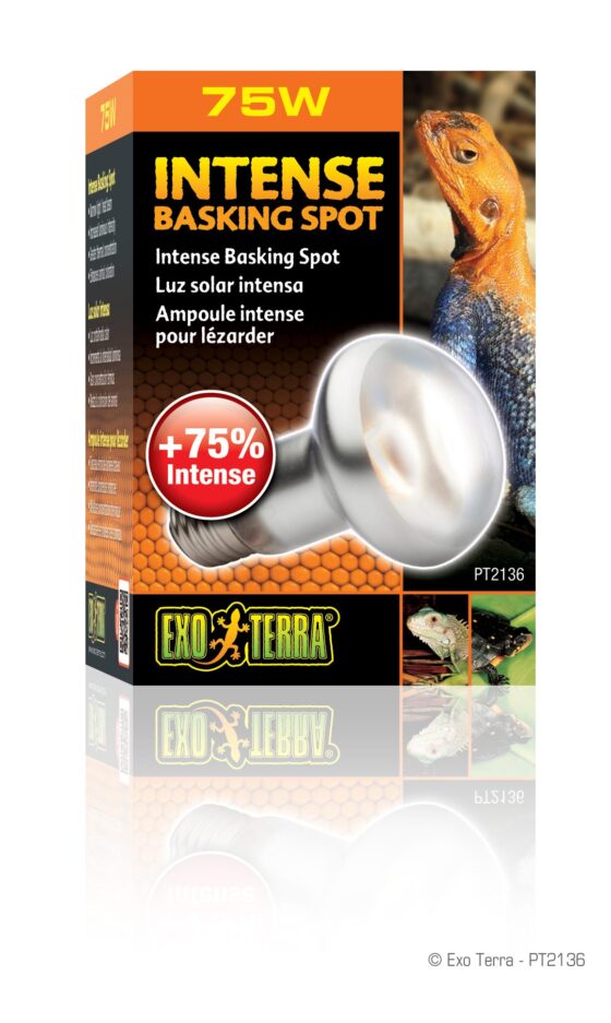 PT2136 Intense Basking Spot Packaging