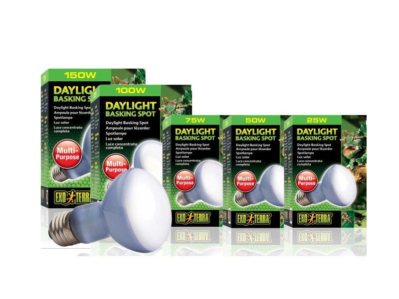 Żarówka Daylight Basking Spot Exoterra daylight basking spot