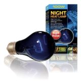 night heat lamp 100 żarówka nocna 100W