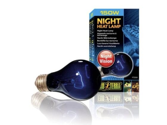 Night Heat Lamp 150W Nocna żarówka grzewcza