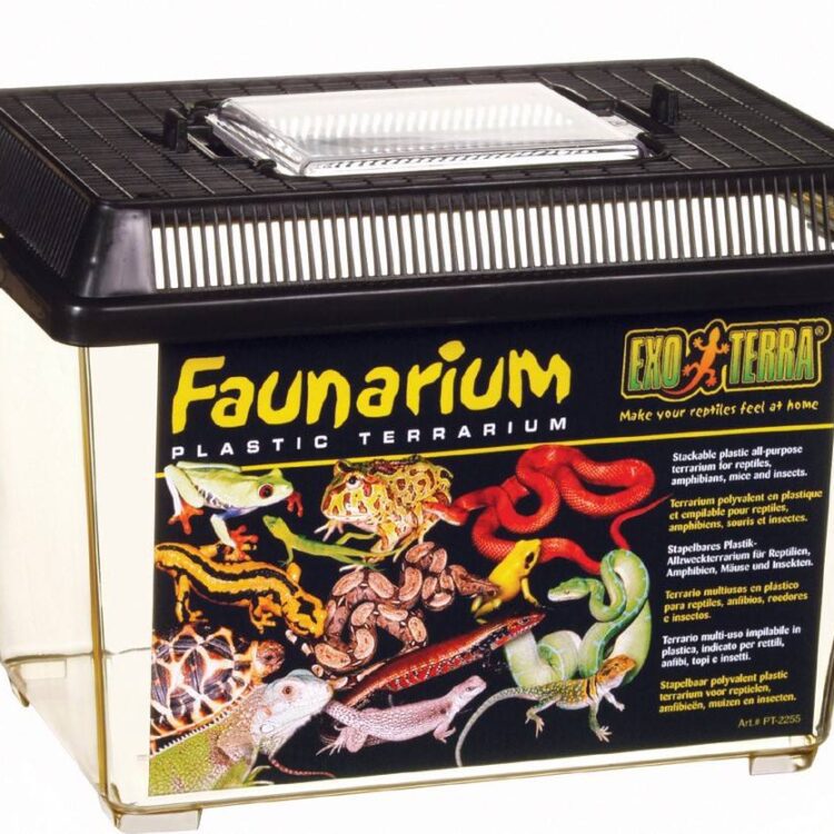 Faunarium dla gadów Exoterra S - 22x15,5x17cm