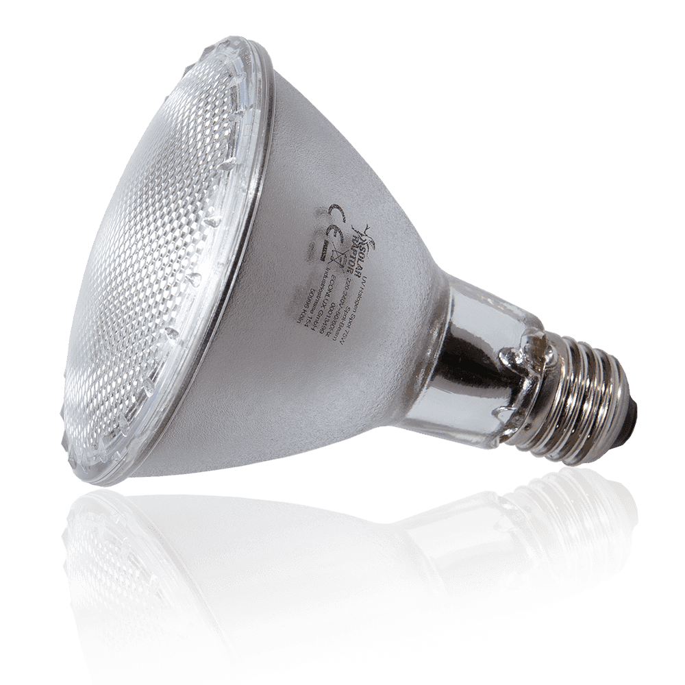 Żarówka halogenowa Solar Raptor UVA Żarówka halogenowa Solar Raptor UVA - obrazek 4