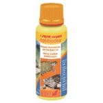 Nieprzyjemny zapach u żółwi