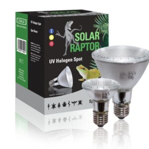 żarówka UVA halogenowa solar raptor