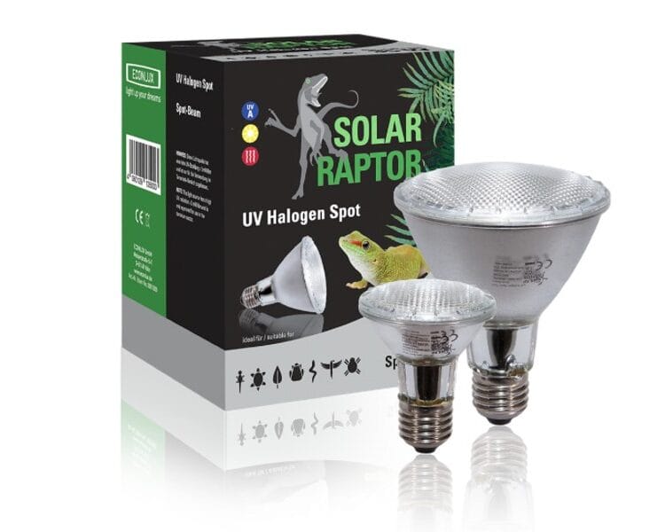 żarówka UVA halogenowa solar raptor