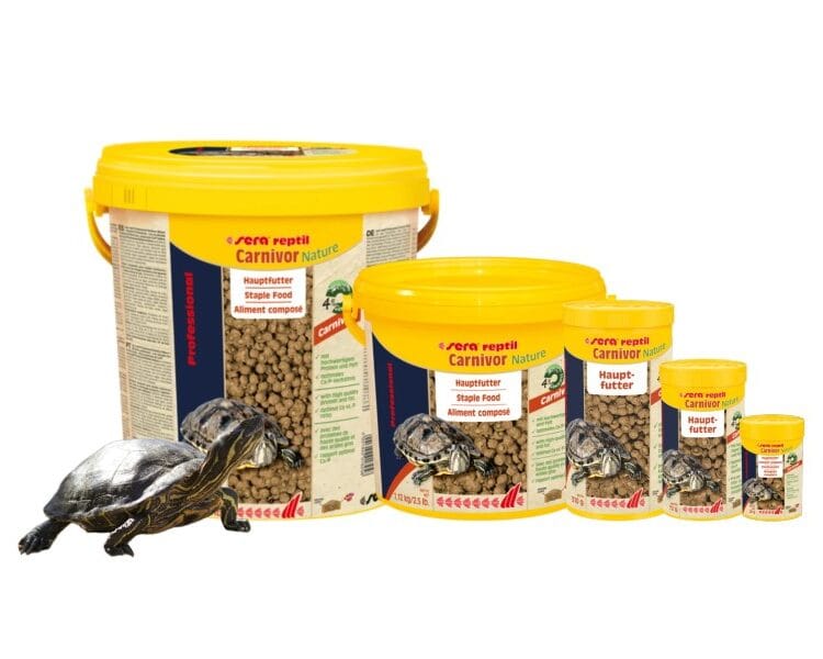 Sera Reptil Professional Carnivor Nature pokarm dla żółwia wodno-lądowego