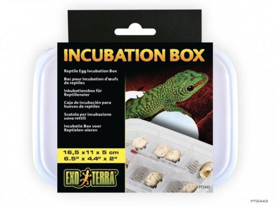 Inkubator dla gekona lamparciego