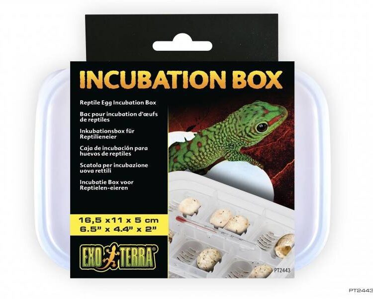 Inkubator dla gekona lamparciego