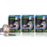 swamp basking spot exoterra