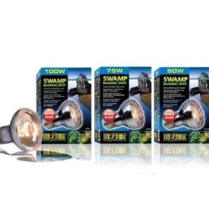 swamp basking spot exoterra