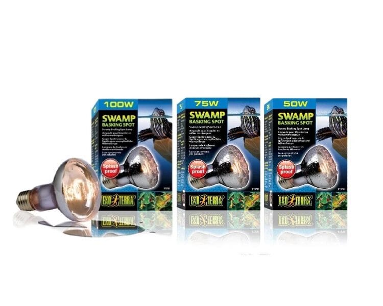 swamp basking spot exoterra