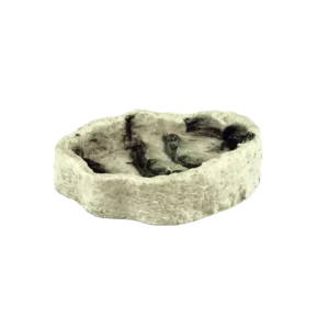 Biała miseczka do terrarium