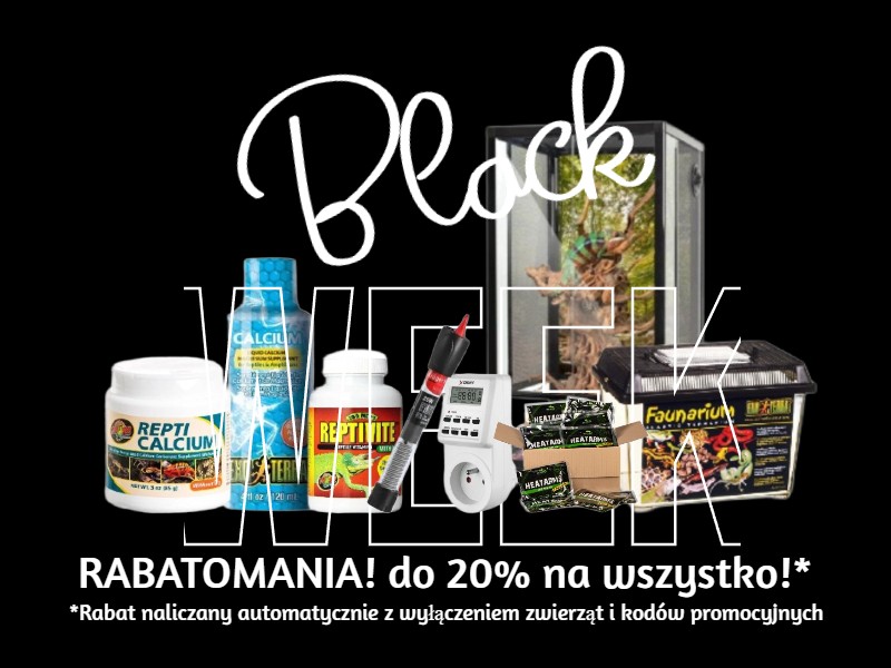 sklep terrarystyczny online żółw wodno-lądowy