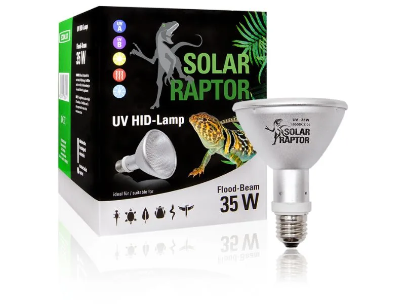 solar raptor 35W flood metahalogen żarówka dla gadów