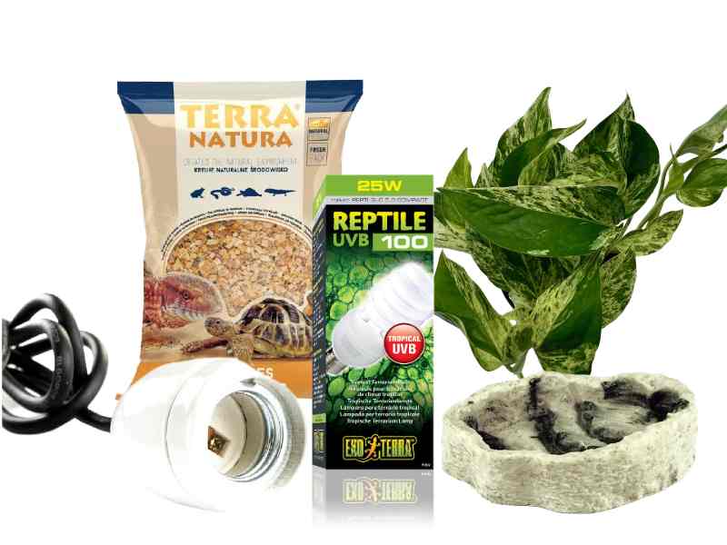 pomysł na prezent świąteczny