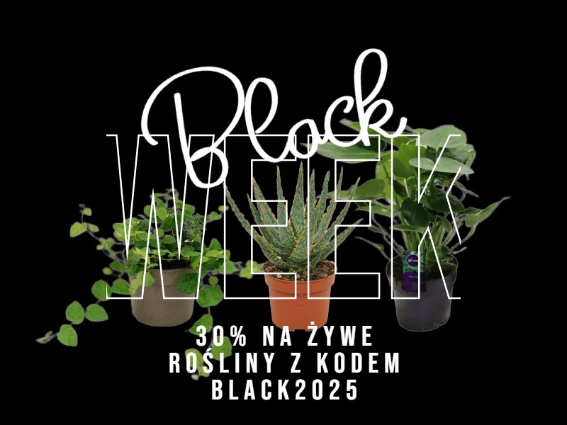 sklep terrarystyczny online żółw wodno-lądowy