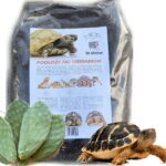 Zestaw startowy dla żółwia zestaw dla żółwia lądowego