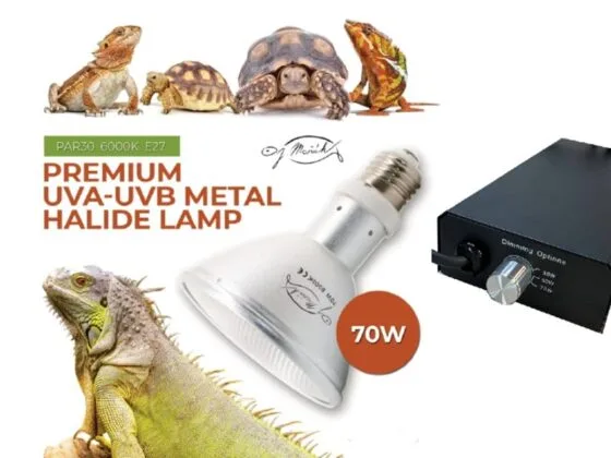 Zestaw Żarówka metahalogenowa 70W statecznik zestaw metahalogen statecznik