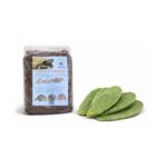 zestaw startowy dla żółwia