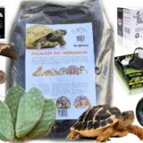 zestaw startowy dla żółwia lądowego zestaw dla żółwia lądowego