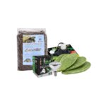 zestaw dla żółwia