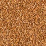 Tetra ReptoMin Menu 250ml pokarm dla żółwia wodno-lądowego - obrazek 3