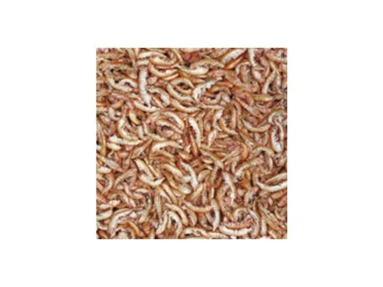 Tropical Gammarus kiełże dla żółwia wodno-lądowego 100ml - obrazek 3