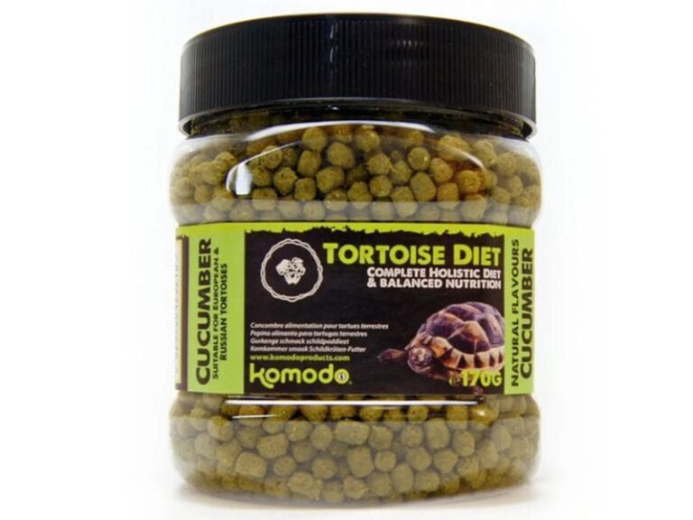 Komodo Tortoise Diet Cucumber