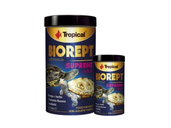 biorept supreme adult pokarm dla żółwia wodno-lądowego
