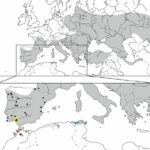 Zasięg występowania żółwi błotnych europejskich i sycylijskich (Emys orbcularis, E. trinacris)