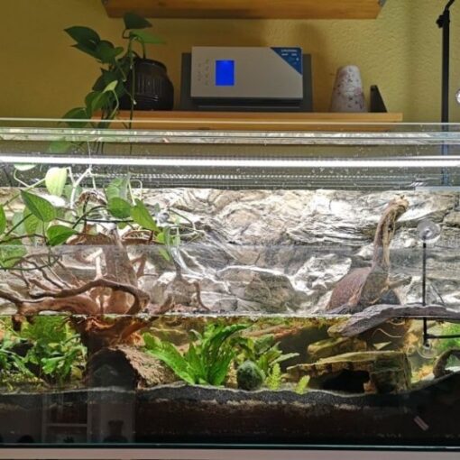 Terrarium dla żółwia wodno lądowego