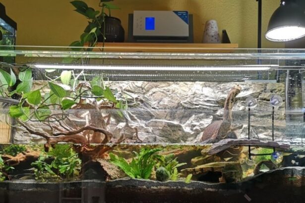 Terrarium dla żółwia wodno lądowego