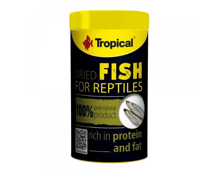 Tropical Dried Fish