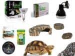 Zestaw premium dla żółwia lądowego do terrarium 80cm