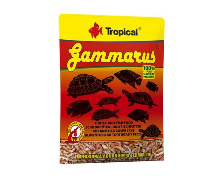 Tropical Gammarus