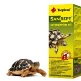 preparat do pielęgnacji skorupy żółwia