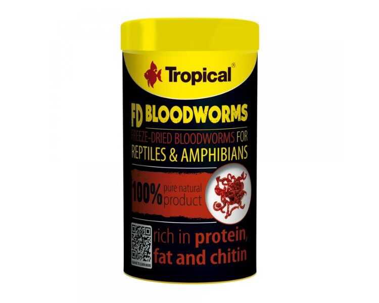 Tropical BLOOD WORMS