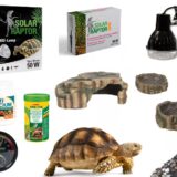 Zestaw Premium dla żółwia lądowego sklep terrarystyczny Katowice