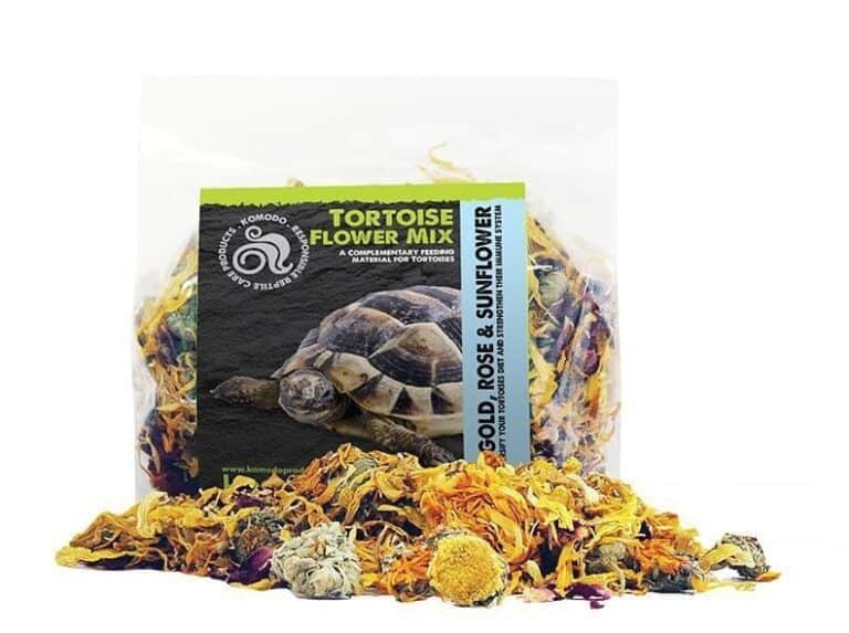 Komodo Tortoise Flower Mix